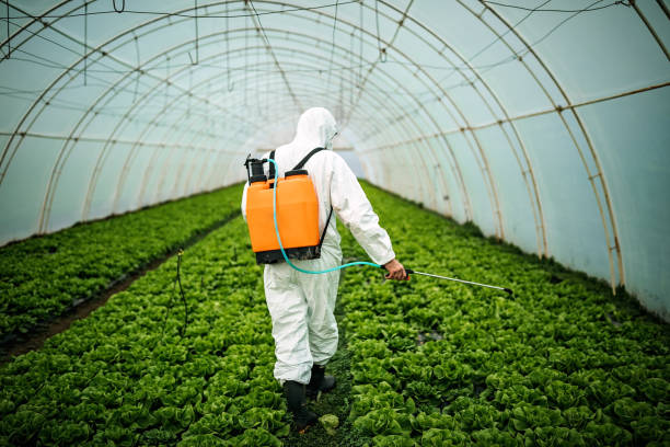 Reliable Elon, NC Pest Control Solutions